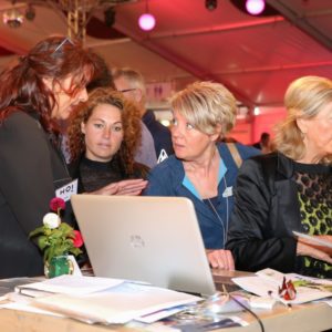 Business_Festival_Bruisend_Nijverdal_2017
